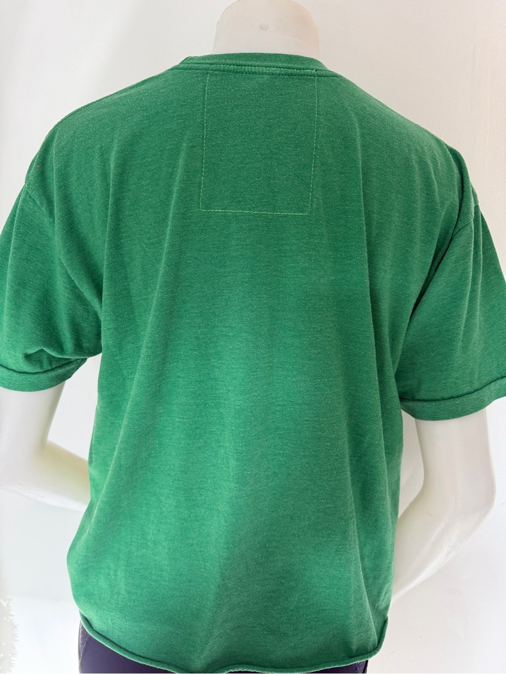 Aviator Nation Venice CA Graphic Green Cropped T-Shirt Tee Size Large L - Picture 3 of 7